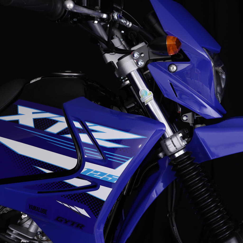 XTZ125 carrusel (4)